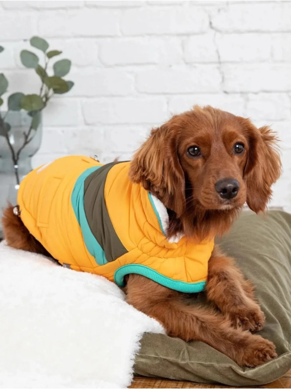 GF PET Alpine Puffer Dog Jacket, size Large